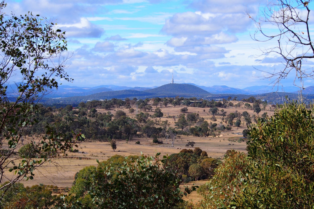 Local Loops - One Tree Hill, Bendigo