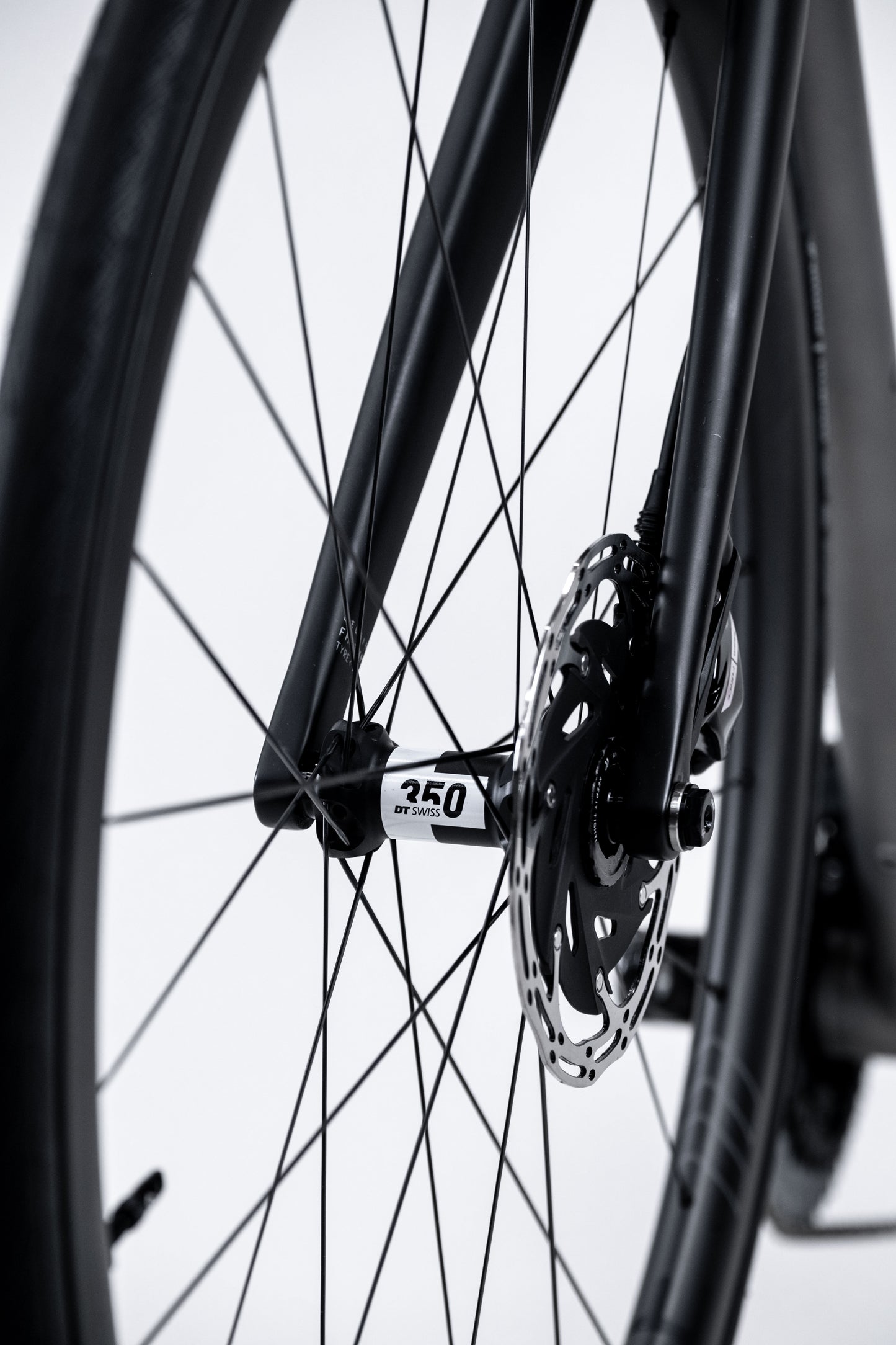 Belgie DISC