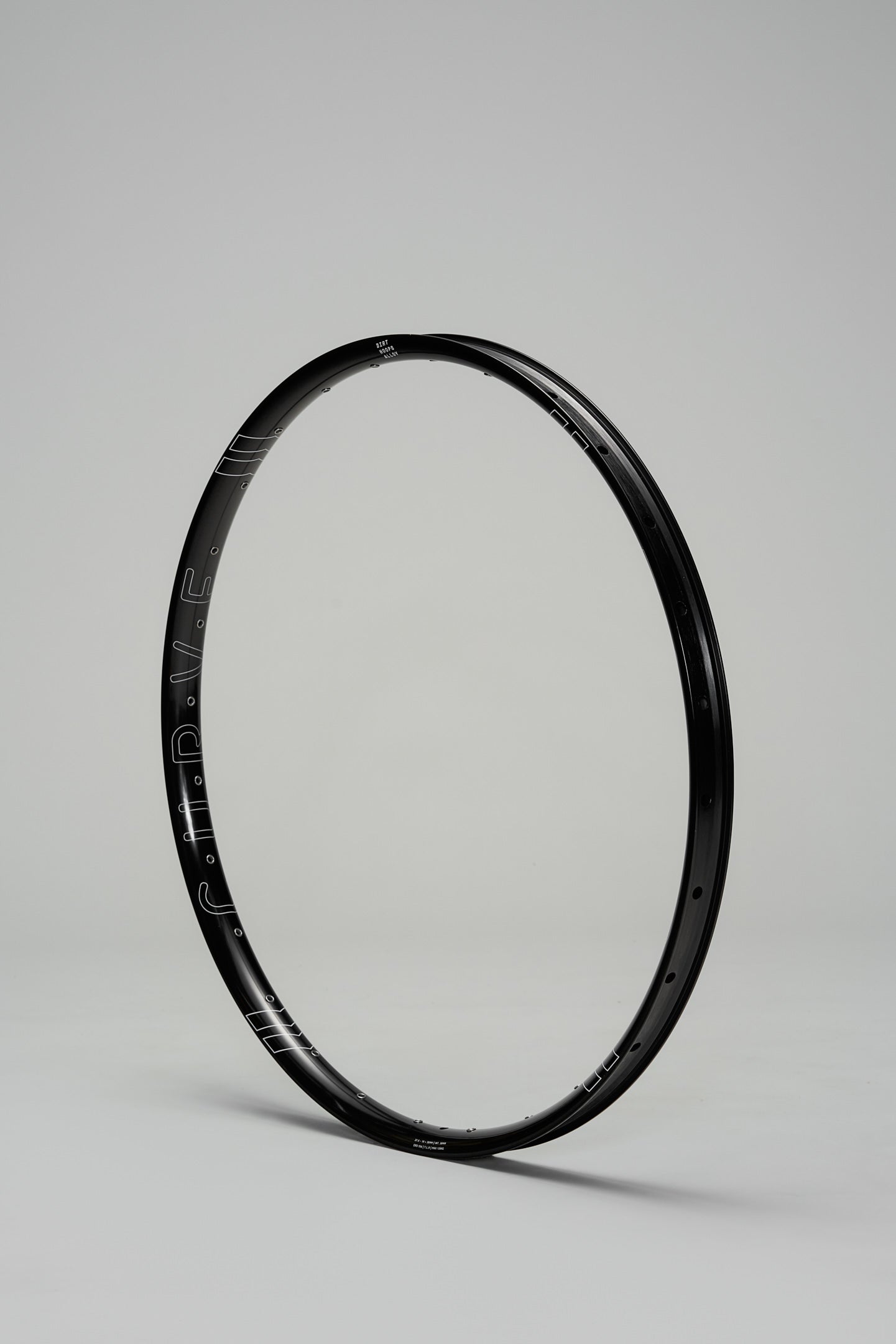 Dirt Hoops Alloy Rim