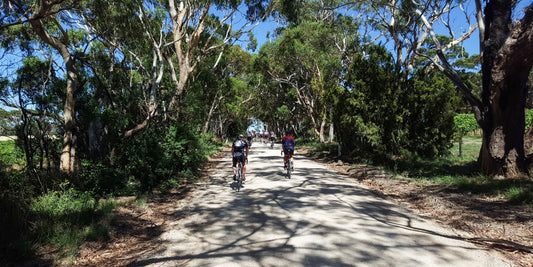 The Dirty Willie - Tour Down Under 2020