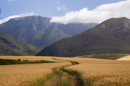 The Rhino Run South Africa Expedition - The Touring Rhinos