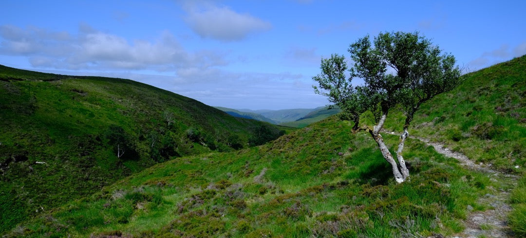 The Highland Trail 550