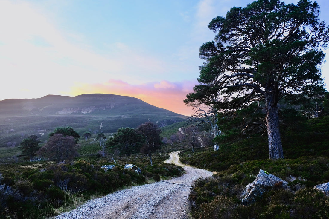 The Cairngorms In Autumn