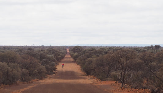 The Anne Beadell HWY