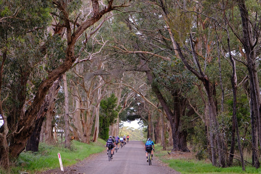 Flashpacking The Otways