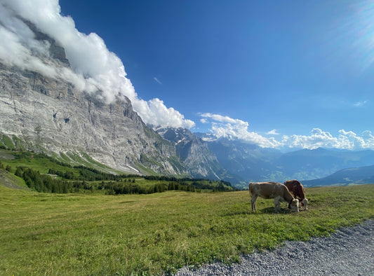 A Bucket List Bike Tour