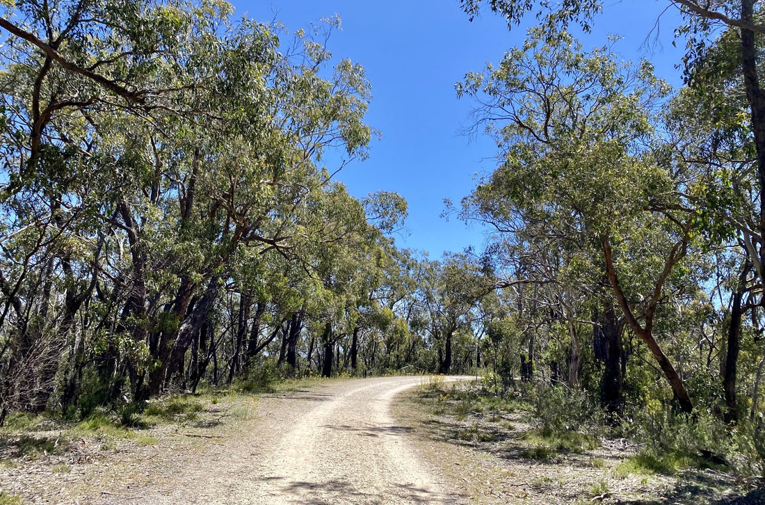 Local Loops - April's Adelaide Groadie Route