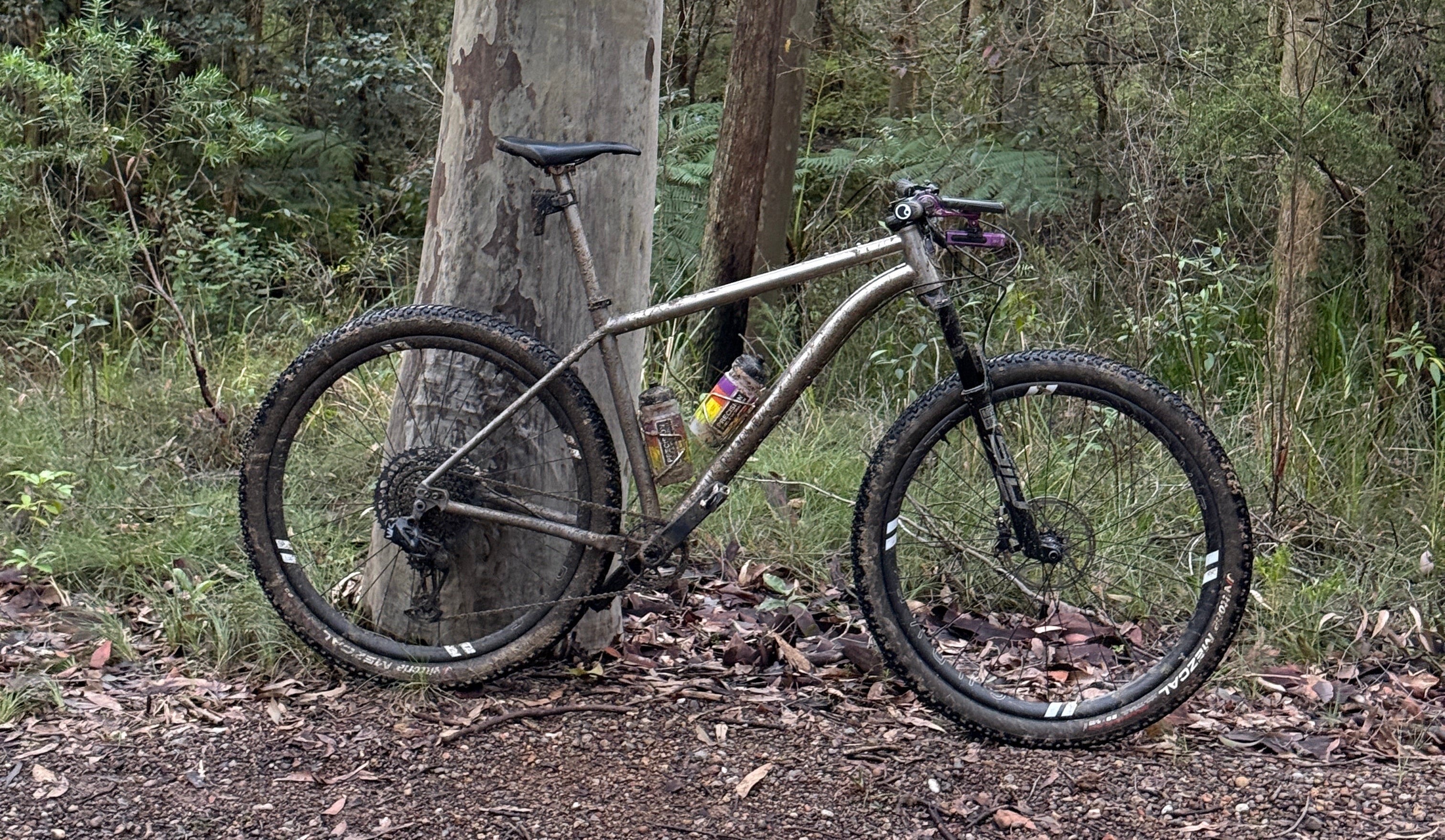A black mountain bike with a silver frame is parked on a forest trail next to a large tree trunk, surrounded by trees and leaf litter.
