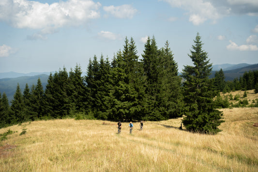 Transylvania Expedition July 2027
