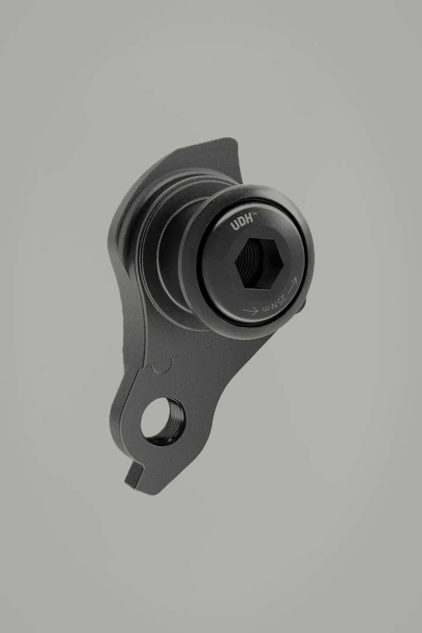 Derailleur Hangers