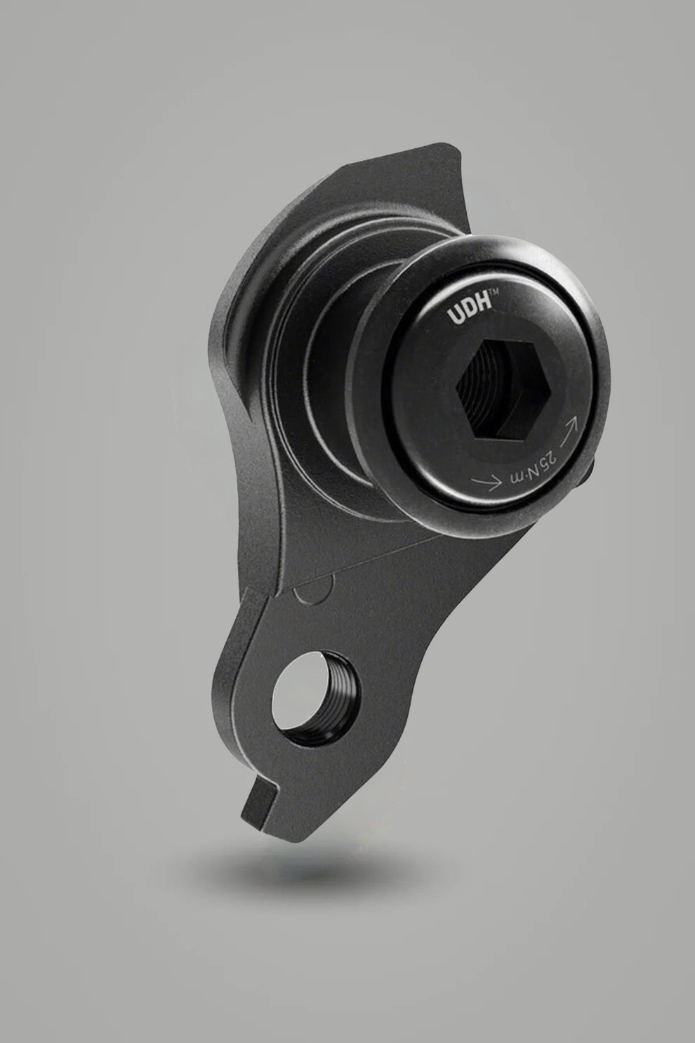 Derailleur Hangers