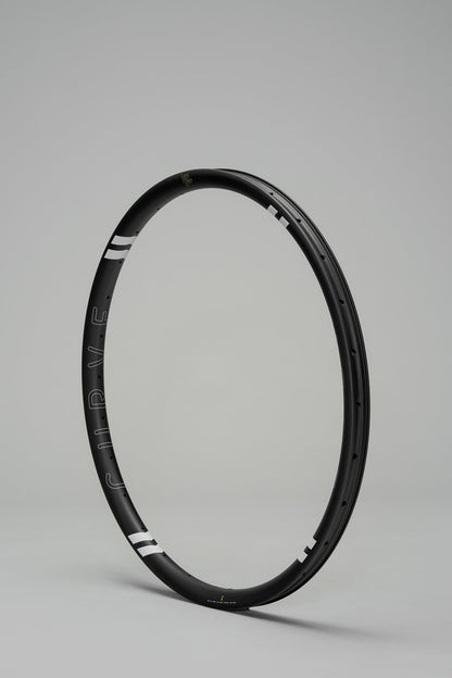 Dirt Hoops Carbon Rim